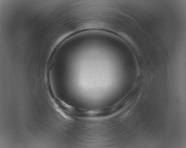 X0000053160846200507111505