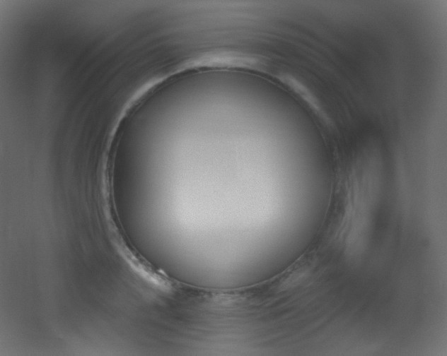 X0000053160848200507111505