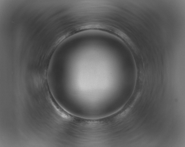 X0000053160849200507111505