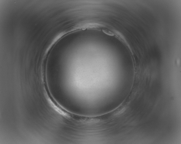 X0000053160851200507111505