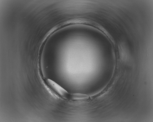 X0000053160853200507111505