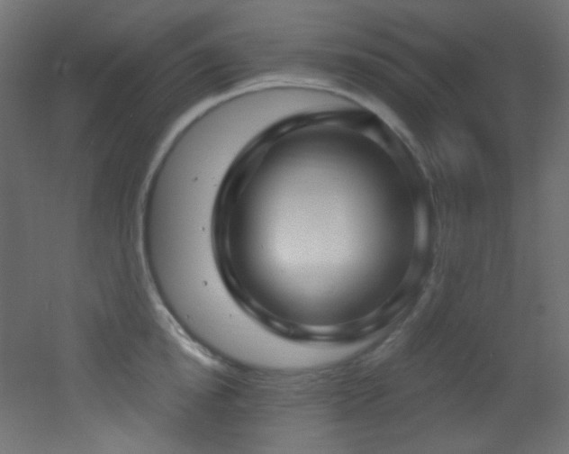 X0000053160854200507111505