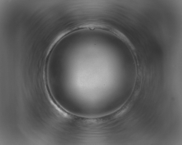 X0000053160855200507111505