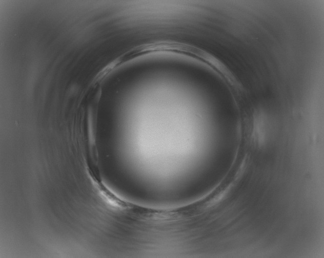 X0000053160857200507111505