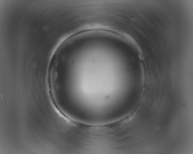 X0000053160863200507111505