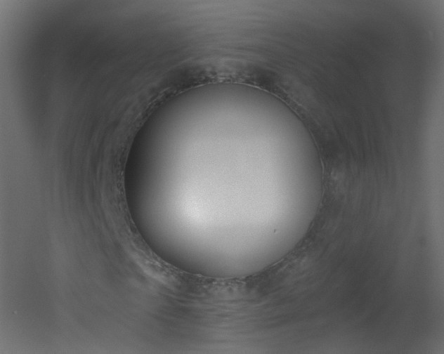 X0000053160865200507111505