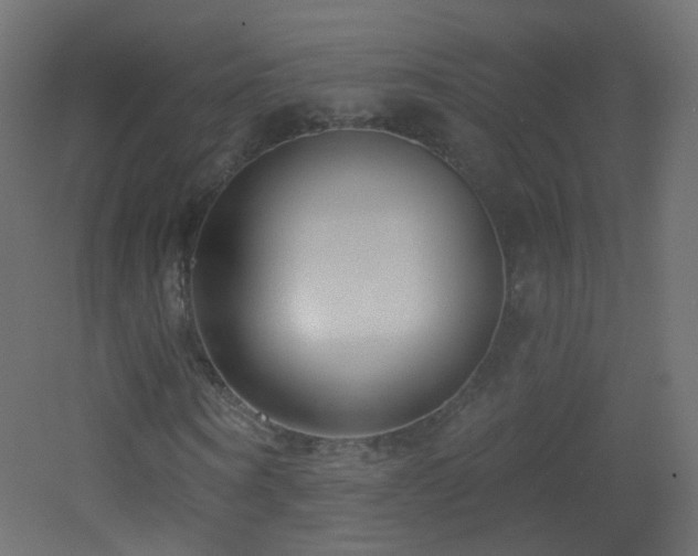 X0000053160866200507111505
