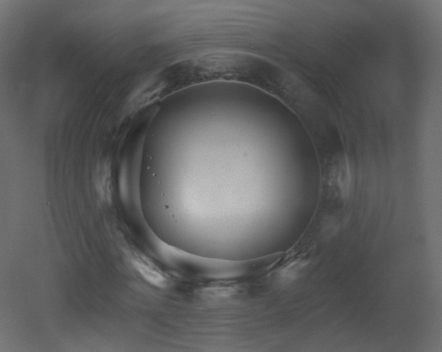 X0000053160868200507111505