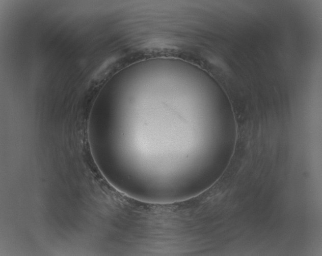 X0000053160870200507111505