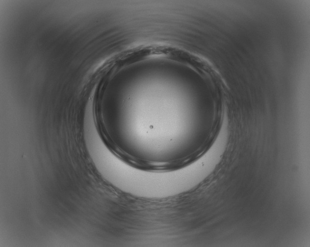 X0000053160871200507111505