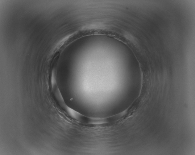 X0000053160872200507111505