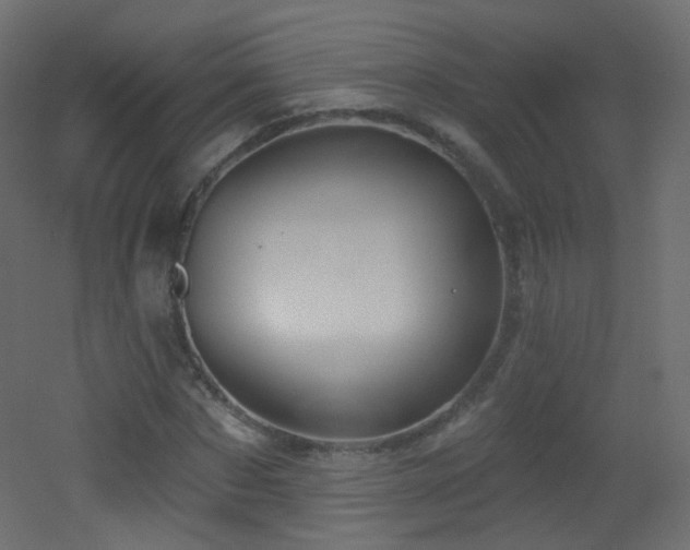 X0000053160873200507111504