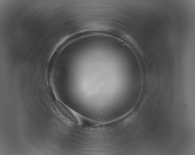 X0000053160875200507111504