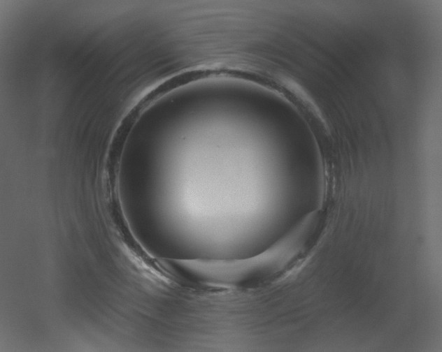 X0000053160876200507111504