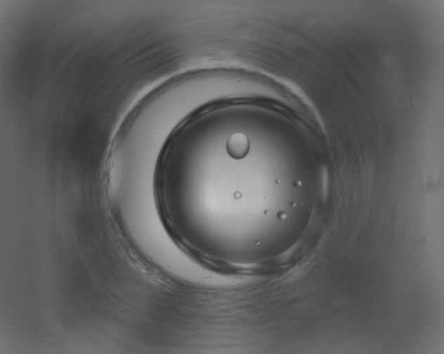 X0000053160879200507111504