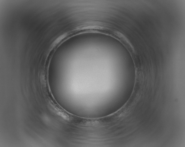 X0000053160882200507111504