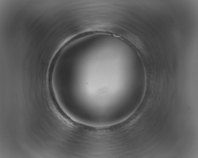 X0000053160884200507111504