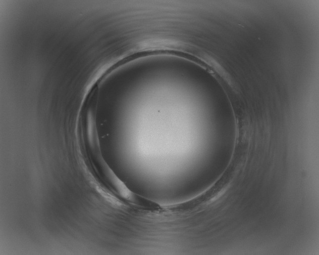 X0000053160885200507111504