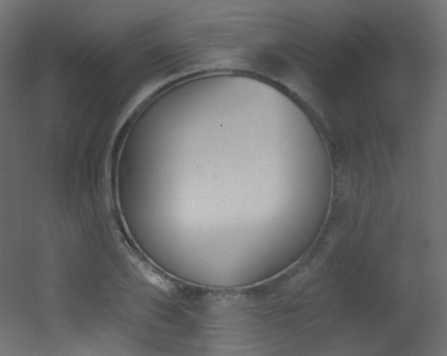 X0000053160886200507111504