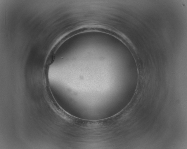 X0000053160887200507111504