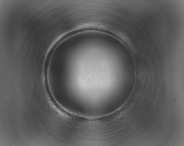 X0000053160888200507111504