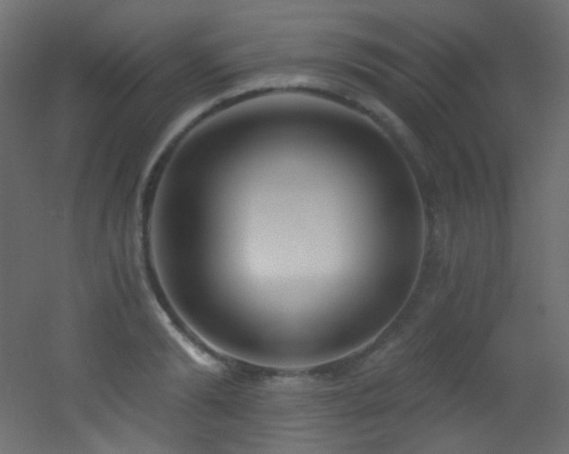 X0000053160894200507111504