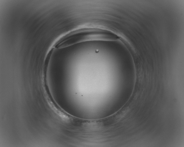 X0000053160896200507111504
