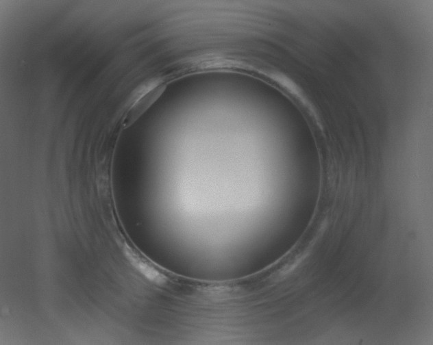 X0000053160897200507111504