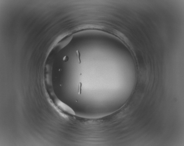 X0000053160898200507111504