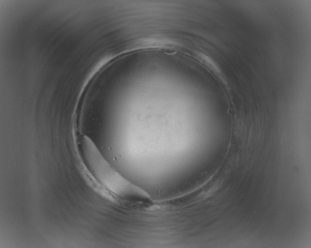 X0000053160899200507111504