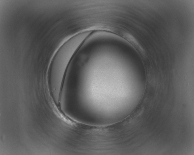 X0000053160900200507111504