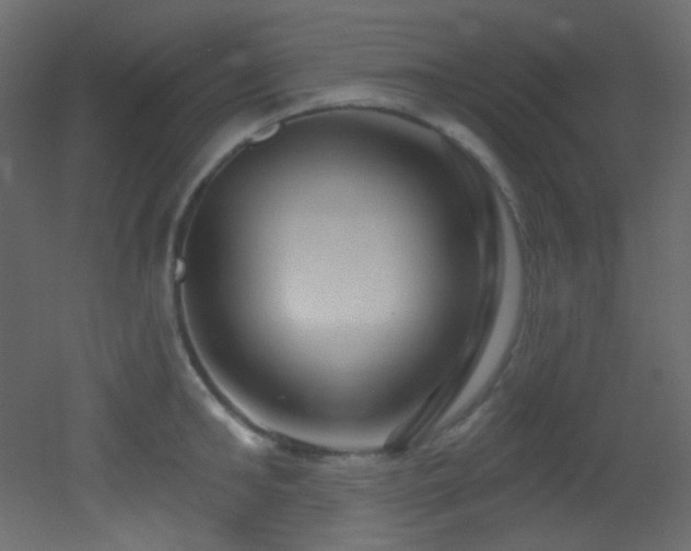 X0000053160902200507111504