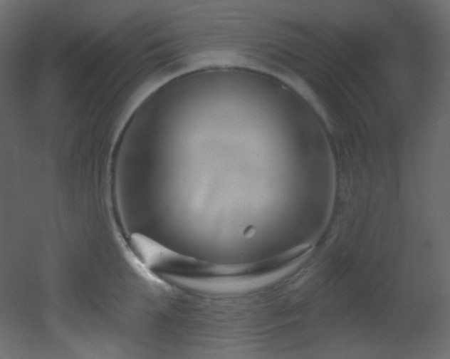 X0000053160903200507111504