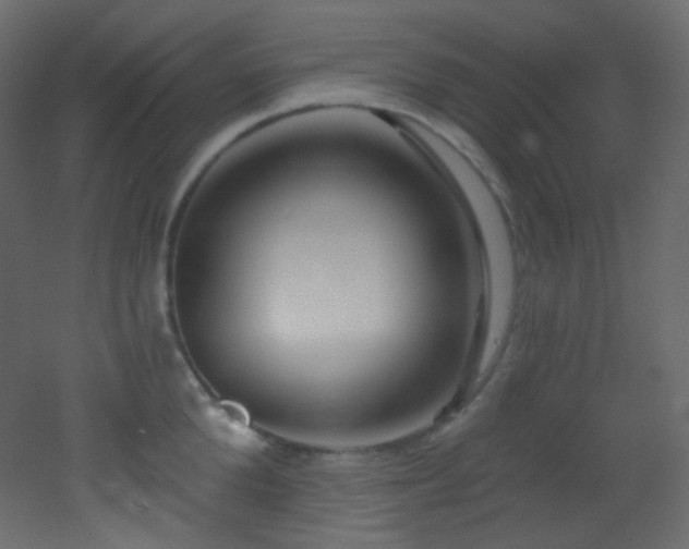 X0000053160904200507111504