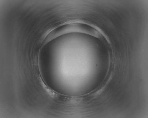 X0000053160905200507111504