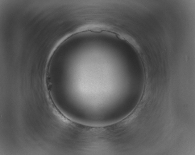 X0000053160912200507111504