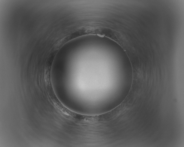 X0000053160914200507111503