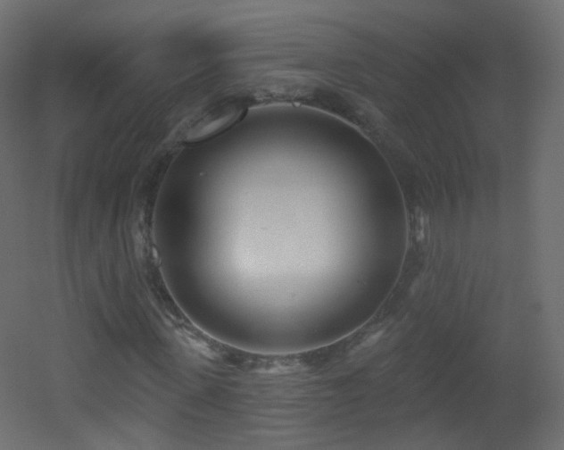 X0000053160915200507111503