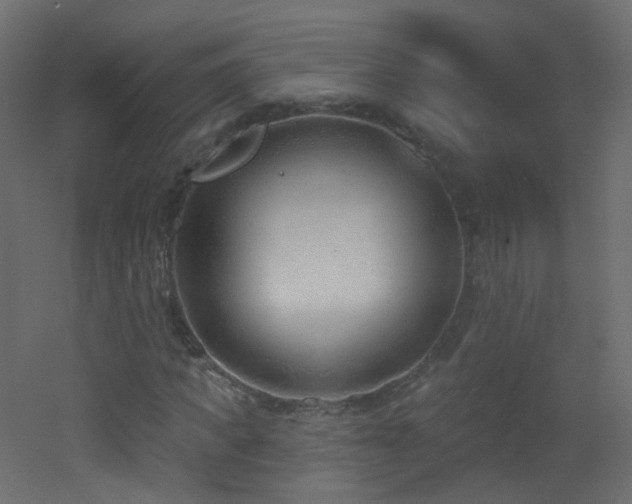 X0000053160917200507111503