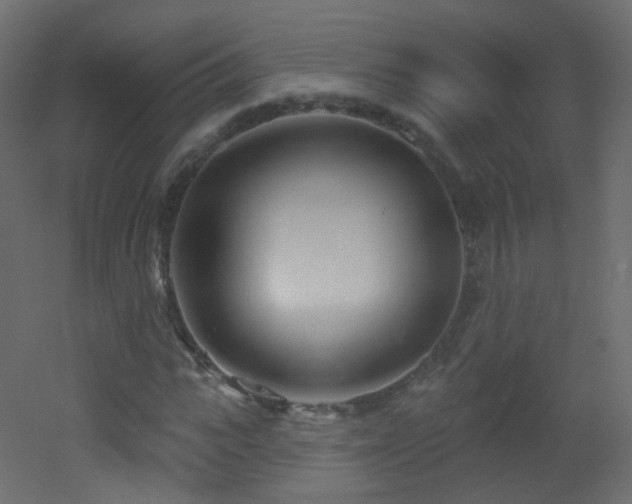 X0000053160919200507111503