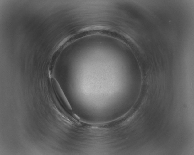 X0000053160921200507111503
