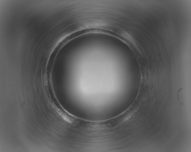 X0000053160924200507111503