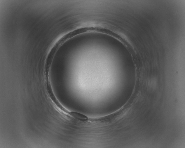 X0000053160927200507111503