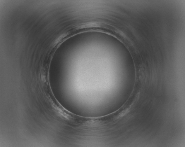 X0000053160929200507111503