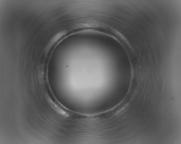 X0000053160930200507111503