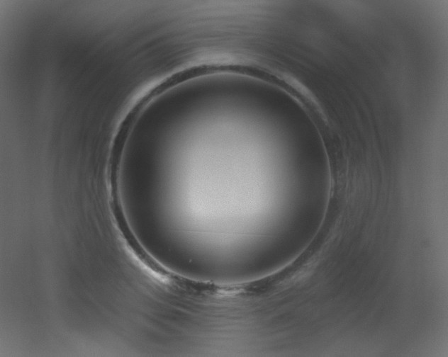 X0000053160935200507111503
