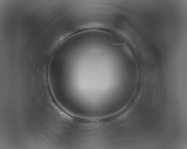 X0000053160937200507111503