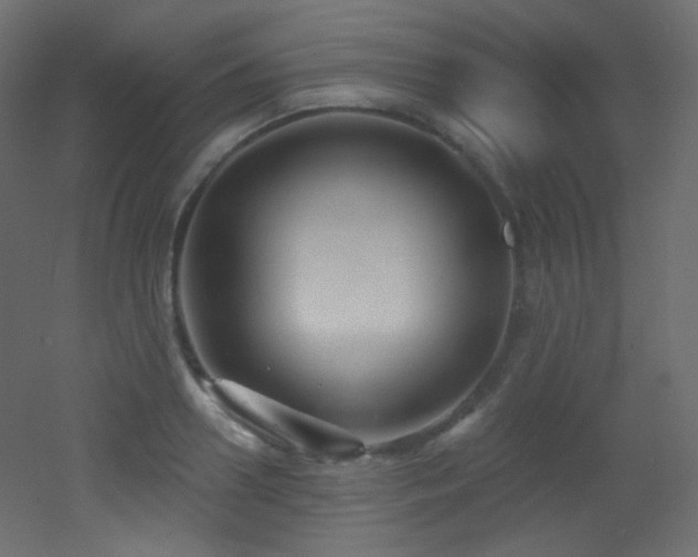 X0000053160938200507111503