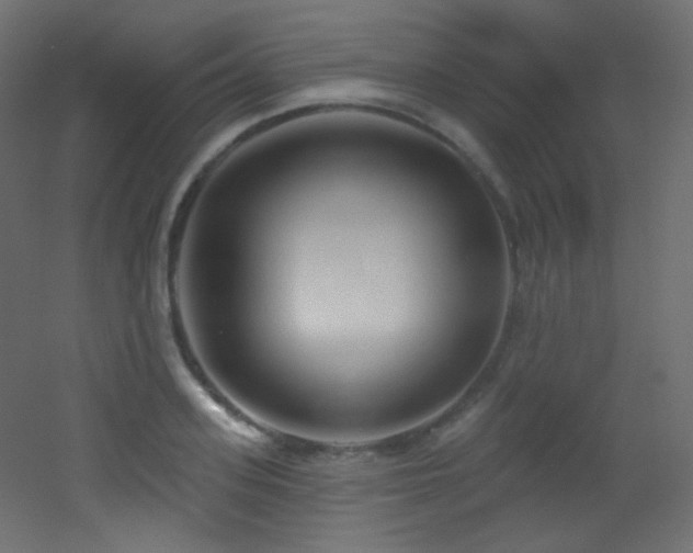 X0000053160939200507111503