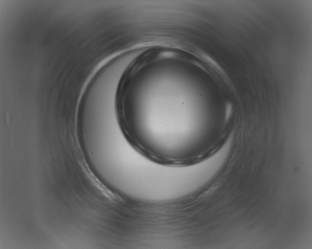 X0000053160940200507111503